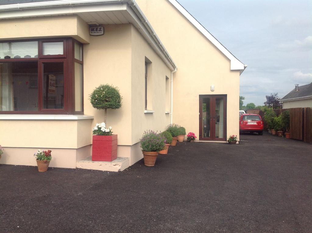 Seber House Panzió Kilbeggan Kültér fotó
